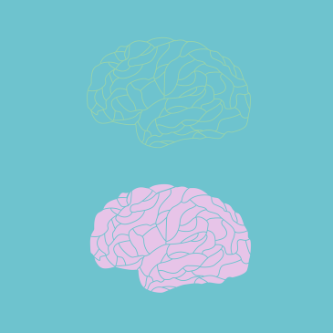 A yellow brain and a pink brain against a blue background